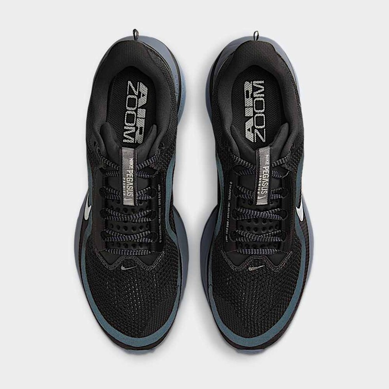 Nike Pegasus Premium "Anthracite" | HQ2592-006