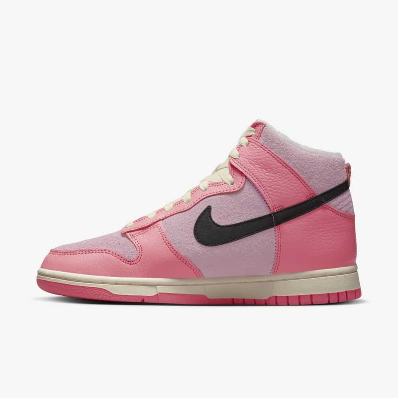 Nike Dunk High Hoops | DX3359-600