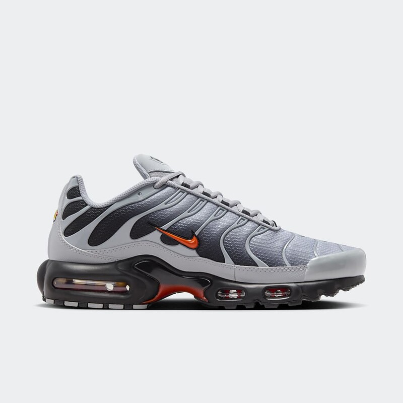 Nike Air Max Plus "Wolf Grey" | DM0032-011