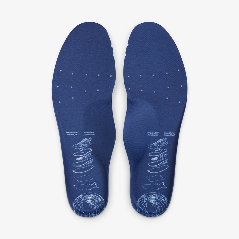 Nike Air Max 1 Blueprint DR0448-100 Release Date