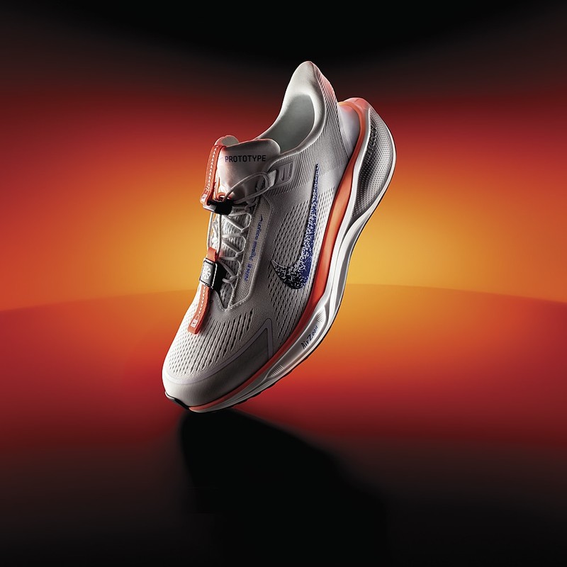 Nike Pegasus EasyOn Blueprint | HM0374-900